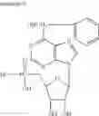 Fig. 53 - COMPOSITIONS AND METHODS FOR PREVENTING AND TREATING MUCOSITIS AND WEIGHT LOSS