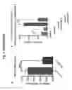 Fig. 07 - Nurr1:RXR activating compounds for simultaneous treatment of symptoms and pathology of Parkinson's disease
