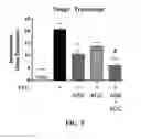 Fig. 06 - METHODS OF TREATING LIVER DISEASE