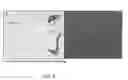 Fig. 06 - Modulation of Splenocytes in Cell Therapy for Traumatic Brain Injury