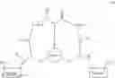 Fig. 167 - Bicyclic peptide ligands and uses thereof