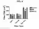 Fig. 05 - MITOCHONDRIAL-TARGETED ANTIOXIDANTS PROTECT AGAINST MECHANICAL VENTILATION-INDUCED DIAPHRAGM DYSFUNCTION AND SKELETAL MUSCLE ATROPHY