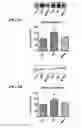 Fig. 09 - MITOCHONDRIAL-TARGETED ANTIOXIDANTS PROTECT AGAINST MECHANICAL VENTILATION-INDUCED DIAPHRAGM DYSFUNCTION AND SKELETAL MUSCLE ATROPHY
