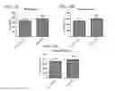 Fig. 13 - MITOCHONDRIAL-TARGETED ANTIOXIDANTS PROTECT AGAINST MECHANICAL VENTILATION-INDUCED DIAPHRAGM DYSFUNCTION AND SKELETAL MUSCLE ATROPHY