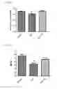 Fig. 17 - MITOCHONDRIAL-TARGETED ANTIOXIDANTS PROTECT AGAINST MECHANICAL VENTILATION-INDUCED DIAPHRAGM DYSFUNCTION AND SKELETAL MUSCLE ATROPHY