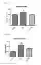 Fig. 20 - MITOCHONDRIAL-TARGETED ANTIOXIDANTS PROTECT AGAINST MECHANICAL VENTILATION-INDUCED DIAPHRAGM DYSFUNCTION AND SKELETAL MUSCLE ATROPHY