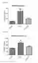 Fig. 21 - MITOCHONDRIAL-TARGETED ANTIOXIDANTS PROTECT AGAINST MECHANICAL VENTILATION-INDUCED DIAPHRAGM DYSFUNCTION AND SKELETAL MUSCLE ATROPHY