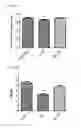 Fig. 22 - MITOCHONDRIAL-TARGETED ANTIOXIDANTS PROTECT AGAINST MECHANICAL VENTILATION-INDUCED DIAPHRAGM DYSFUNCTION AND SKELETAL MUSCLE ATROPHY