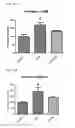 Fig. 25 - MITOCHONDRIAL-TARGETED ANTIOXIDANTS PROTECT AGAINST MECHANICAL VENTILATION-INDUCED DIAPHRAGM DYSFUNCTION AND SKELETAL MUSCLE ATROPHY