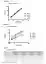 Fig. 04 - METHODS FOR PREVENTING OR TREATING DISORDERS BY INCREASING BIOAVAILABILITY OF IRON AND RELATED PHARMACEUTICAL FORMULATION