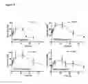 Fig. 13 - METHODS FOR PREVENTING OR TREATING DISORDERS BY INCREASING BIOAVAILABILITY OF IRON AND RELATED PHARMACEUTICAL FORMULATION