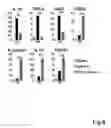 Fig. 09 - Composition having tissue-repairing activity, and use therefor