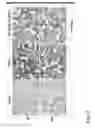 Fig. 14 - Composition having tissue-repairing activity, and use therefor