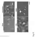 Fig. 15 - Composition having tissue-repairing activity, and use therefor