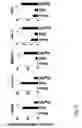 Fig. 18 - Composition having tissue-repairing activity, and use therefor