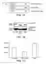 Fig. 02 - METHODS AND COMPOSITIONS FOR TREATMENT OF MITOCHONDRIAL DISORDERS
