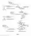 Fig. 03 - ASSISTED ENZYME REPLACEMENT THERAPY