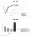 Fig. 03 - Methods for safe and effective thrombolysis using sequential administration of tissue plasminogen activator and mutant pro-urokinase
