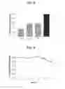 Fig. 09 - Methods for safe and effective thrombolysis using sequential administration of tissue plasminogen activator and mutant pro-urokinase