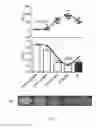 Fig. 17 - Methods and compositions for treating metabolic imbalance in neurodegenerative disease