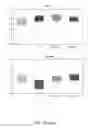 Fig. 184 - Methods and compositions for treating metabolic imbalance in neurodegenerative disease