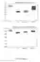 Fig. 244 - Methods and compositions for treating metabolic imbalance in neurodegenerative disease