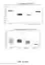Fig. 246 - Methods and compositions for treating metabolic imbalance in neurodegenerative disease
