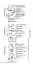 Fig. 25 - Methods and compositions for treating metabolic imbalance in neurodegenerative disease