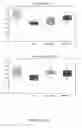 Fig. 256 - Methods and compositions for treating metabolic imbalance in neurodegenerative disease