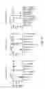 Fig. 26 - Methods and compositions for treating metabolic imbalance in neurodegenerative disease