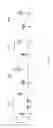 Fig. 46 - Methods and compositions for treating metabolic imbalance in neurodegenerative disease