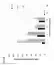 Fig. 02 - Chemically modified cystathionine beta-synthase enzyme for treatment of homocystinuria