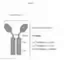 Fig. 02 - IMMUNOASSEMBLIN (IA) PROTEIN COMPLEXES
