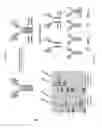 Fig. 08 - IMMUNOASSEMBLIN (IA) PROTEIN COMPLEXES