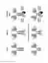 Fig. 09 - IMMUNOASSEMBLIN (IA) PROTEIN COMPLEXES