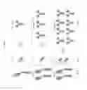 Fig. 10 - IMMUNOASSEMBLIN (IA) PROTEIN COMPLEXES