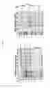 Fig. 12 - IMMUNOASSEMBLIN (IA) PROTEIN COMPLEXES