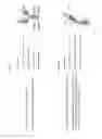 Fig. 14 - IMMUNOASSEMBLIN (IA) PROTEIN COMPLEXES