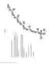 Fig. 15 - IMMUNOASSEMBLIN (IA) PROTEIN COMPLEXES