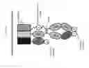 Fig. 16 - IMMUNOASSEMBLIN (IA) PROTEIN COMPLEXES