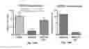Fig. 10 - PROGNOSIS AND TREATMENT OF SQUAMOUS CELL CARCINOMAS