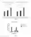Fig. 04 - NEW ADJUVANT AND VACCINE COMPOSITION CONTAINING THE SAME
