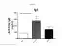 Fig. 06 - IMMUNOSTIMULATING AGENT