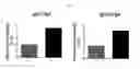 Fig. 07 - IMMUNOSTIMULATING AGENT