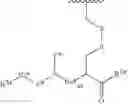Fig. 50 - IMMUNOSTIMULATING AGENT