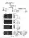 Fig. 15 - A METHOD OF INHIBITING EXACERBATIONS OF T CELL-MEDIATED ALLOGRAFT VASCULOPATHY