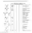Fig. 02 - Trispecific molecule combining specific tumor targeting and local immune checkpoint inhibition
