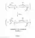 Fig. 02 - Protease Triggered Release Of Molecules From Hydrogels