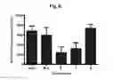 Fig. 06 - Multivalent peptoid oligomers, pharmaceutical compositions and methods of using same