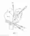 Fig. 02 - Prostate-targeting adeno-associated virus serotype vectors